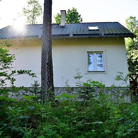 Gorski Domek Kolo Karpacza- Apartamentuj Exterior foto