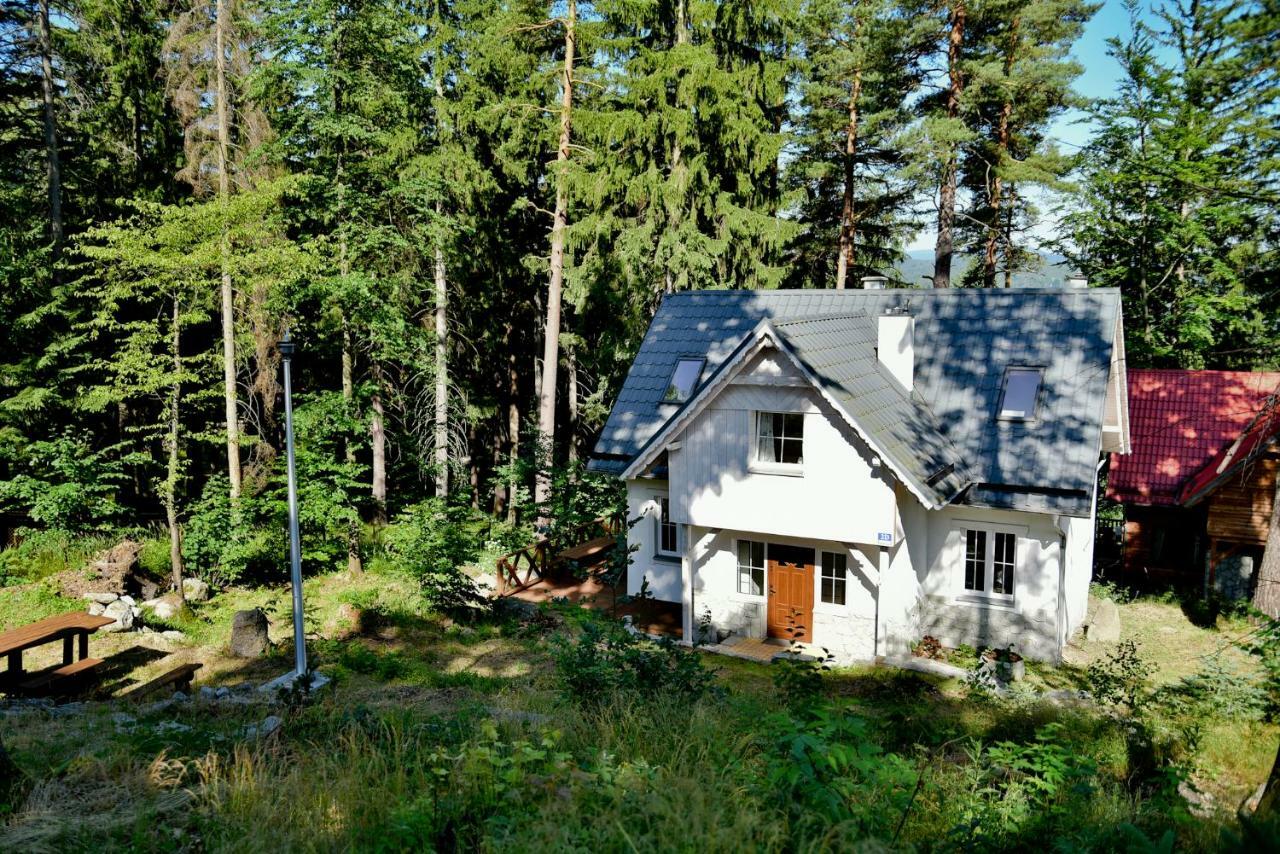 Gorski Domek Kolo Karpacza- Apartamentuj Exterior foto